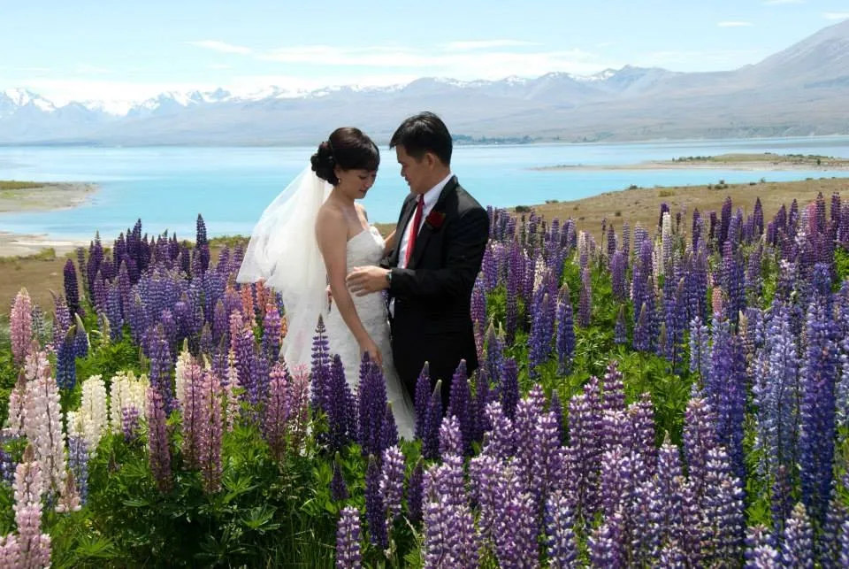 Eloping among the lupins Bride and groom standing among purple lupins beside Lake Tekapo