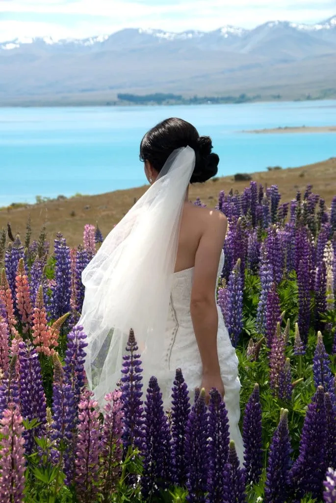 A veiled bride looking out over Lake Tekapo and its blooming summer lupins