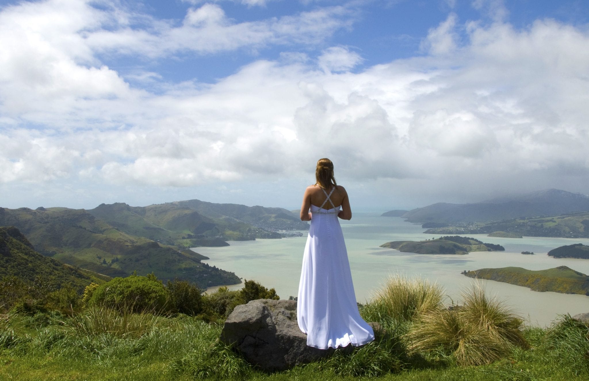 Sign of the Bellbird Wedding Christchurch